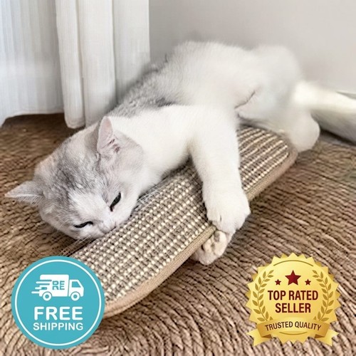 Cat toy game pillow - toy,